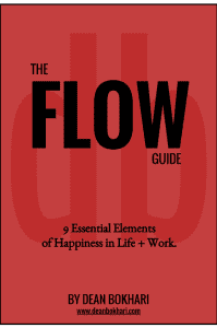 The_Flow_Guide_Cover_by_Dean_Bokhari