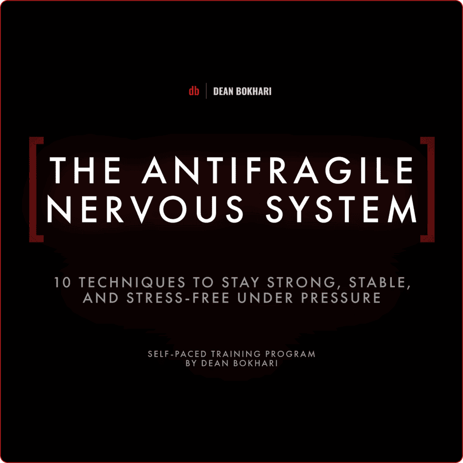 Antifragile Nervous System Cover